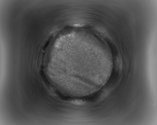 X0000086280598200704191948