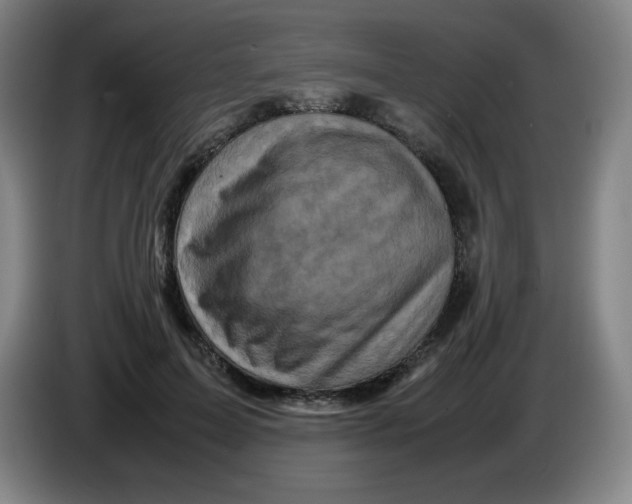 X0000086280599200704191948