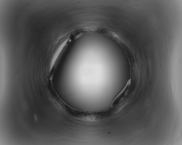 X0000086280600200704191948