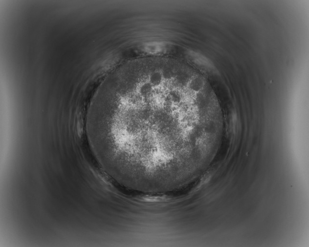 X0000086280606200704191947