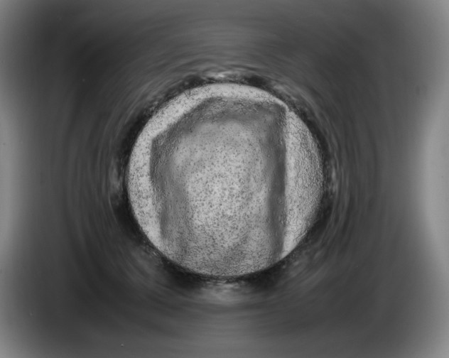 X0000086280607200704191947