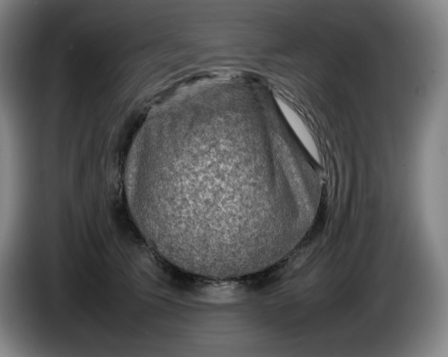 X0000086280609200704191947