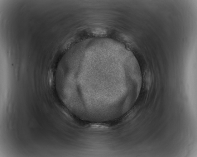 X0000086280614200704191947