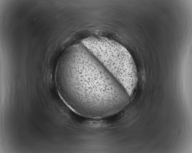 X0000086280615200704191947