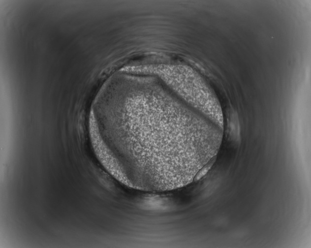 X0000086280616200704191947