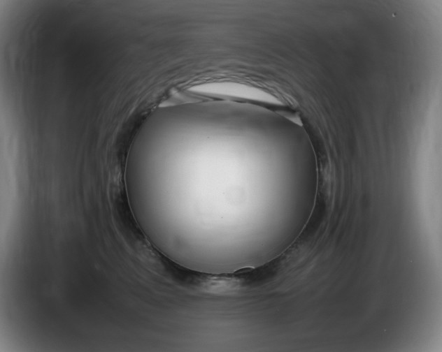 X0000086280617200704191947