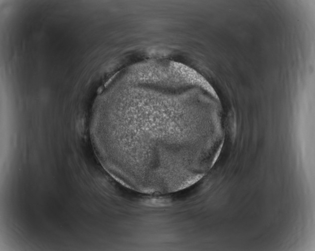 X0000086280619200704191947