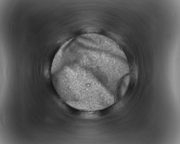 X0000086280622200704191947