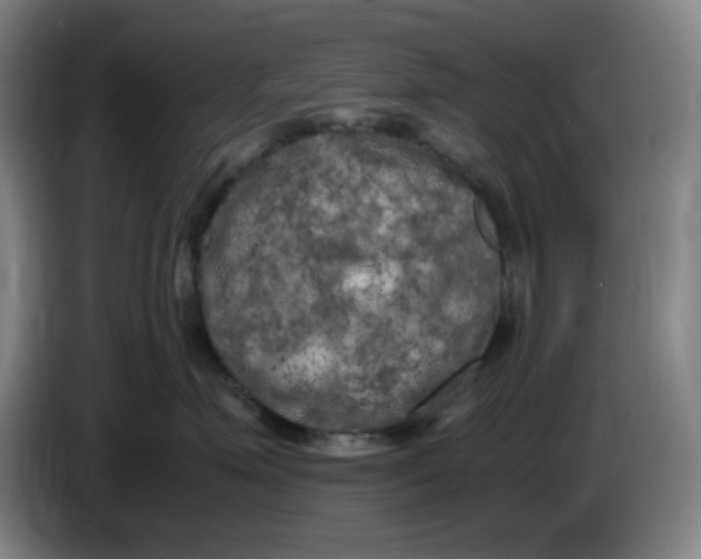 X0000086280623200704191947