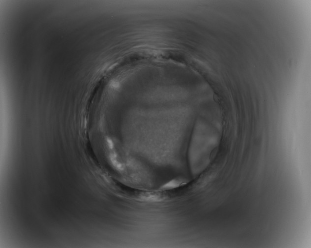 X0000086280624200704191947