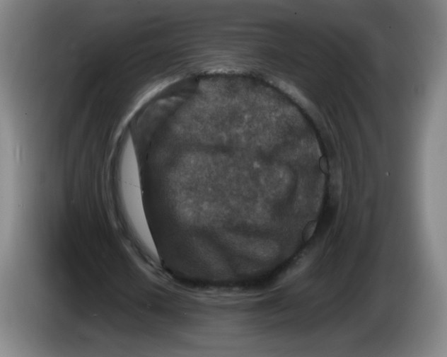 X0000086280626200704191947