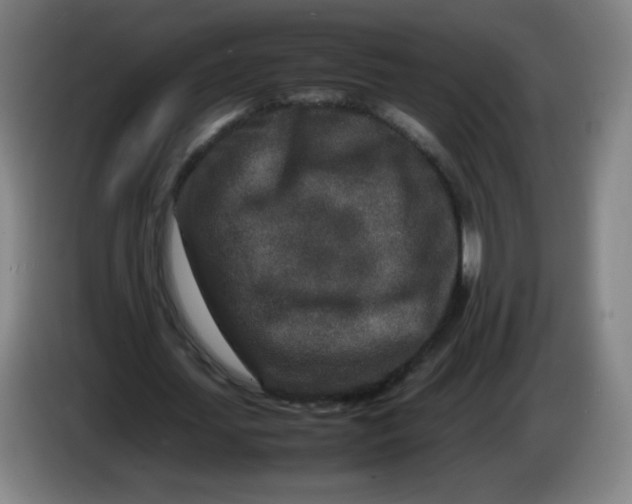 X0000086280627200704191947