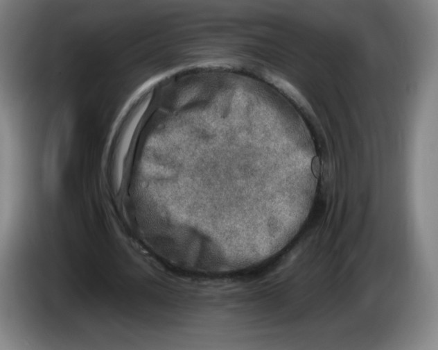 X0000086280628200704191947