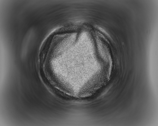 X0000086280630200704191947