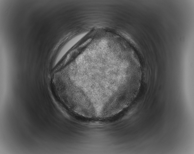 X0000086280634200704191947