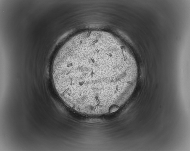 X0000086280636200704191947