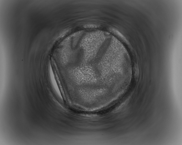 X0000086280637200704191947