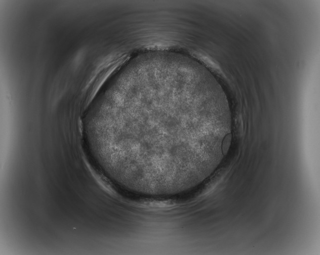 X0000086280638200704191947