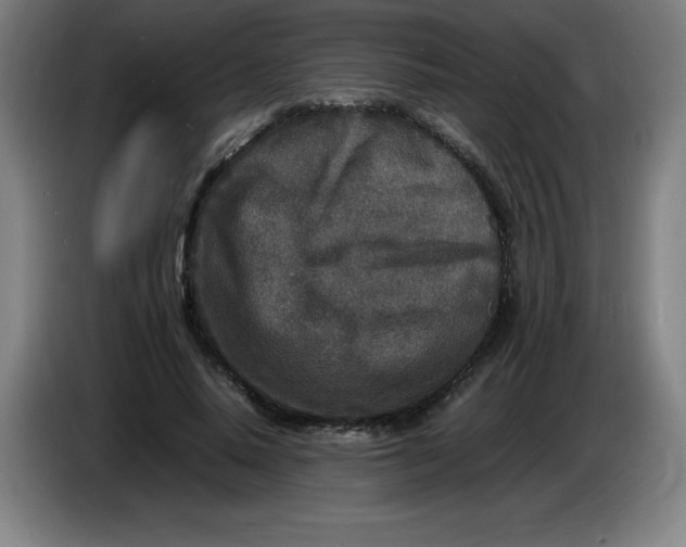 X0000086280640200704191947