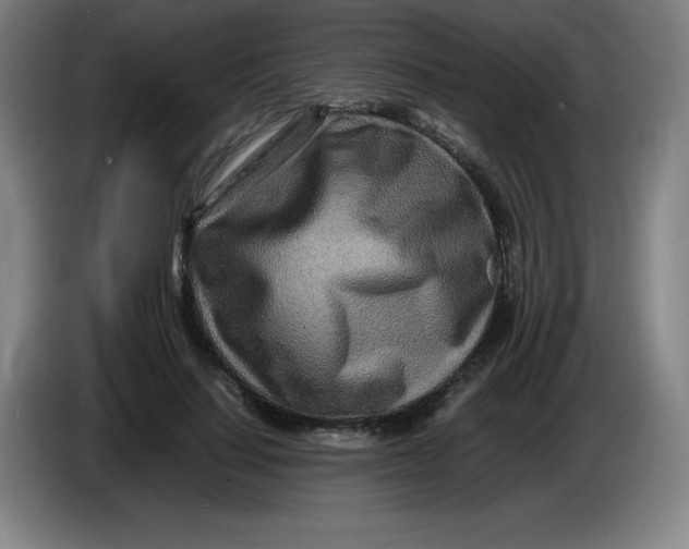 X0000086280644200704191947