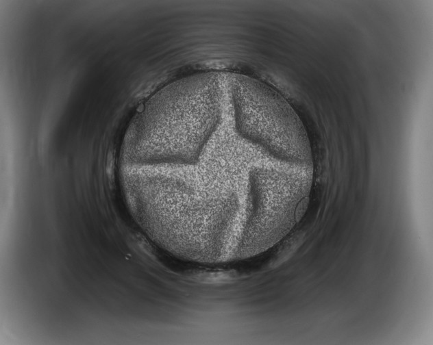 X0000086280646200704191947