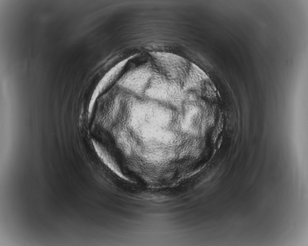 X0000086280648200704191947