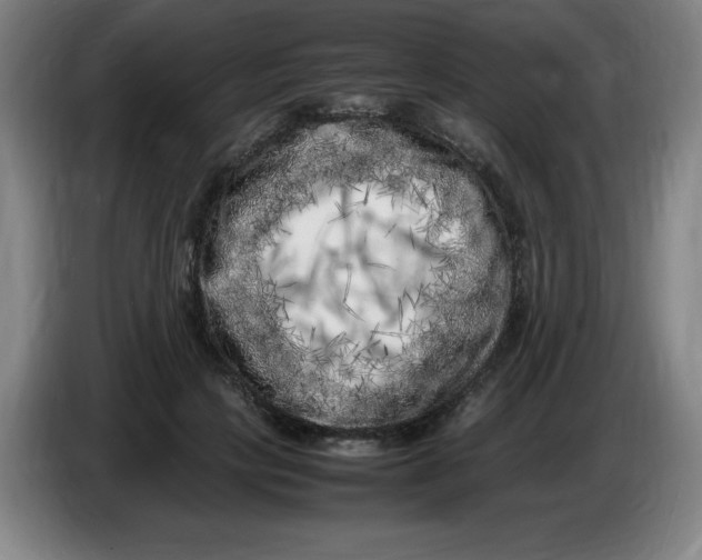 X0000086280649200704191947