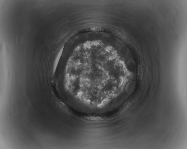 X0000086280650200704191947