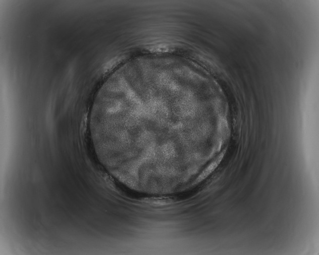 X0000086280652200704191947