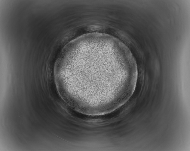 X0000086280653200704191947