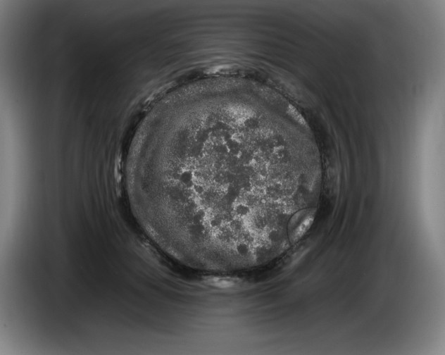 X0000086280654200704191947