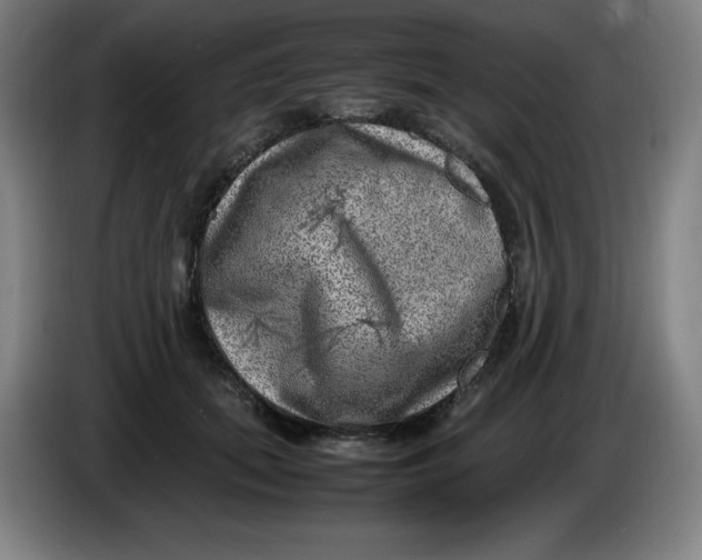 X0000086280655200704191947