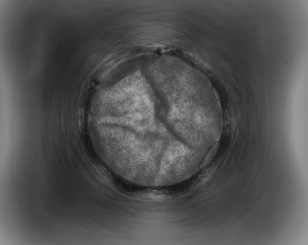 X0000086280656200704191947