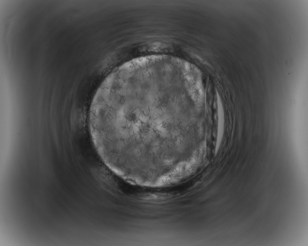 X0000086280657200704191947