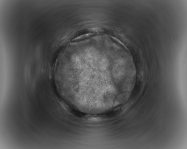 X0000086280658200704191947