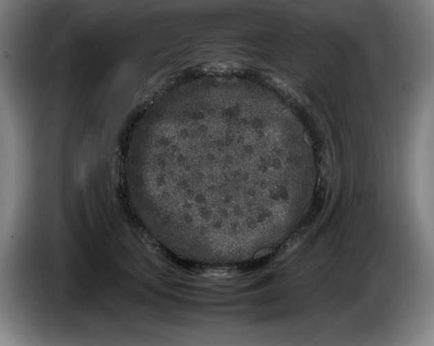 X0000086280659200704191947