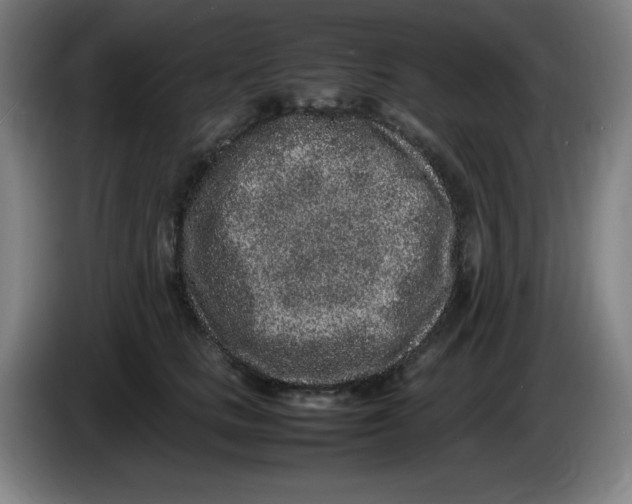 X0000086280661200704191947