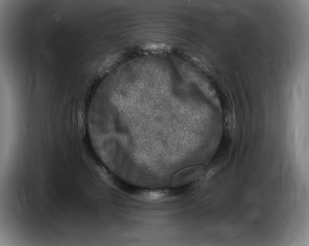 X0000086280662200704191947