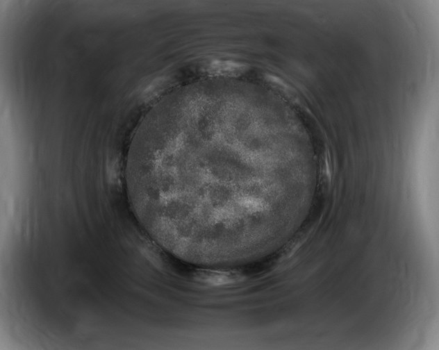 X0000086280663200704191947