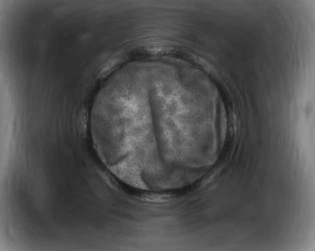 X0000086280664200704191947