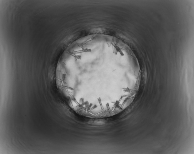 X0000086280665200704191947