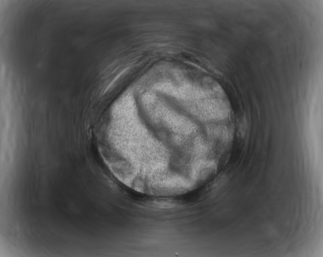 X0000086280666200704191947