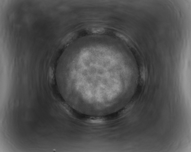 X0000086280667200704191947