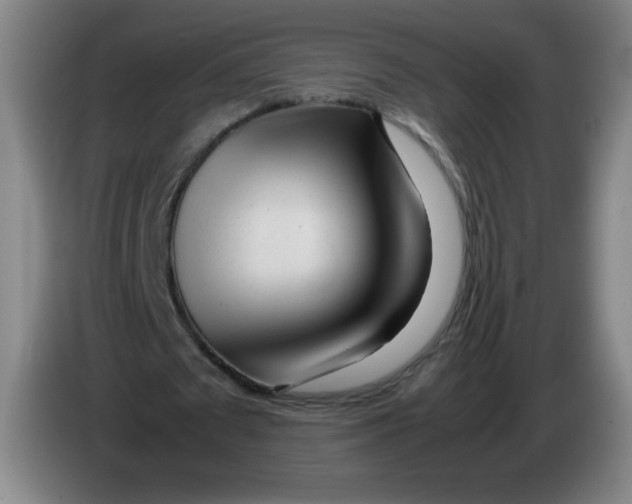 X0000086280673200704191947