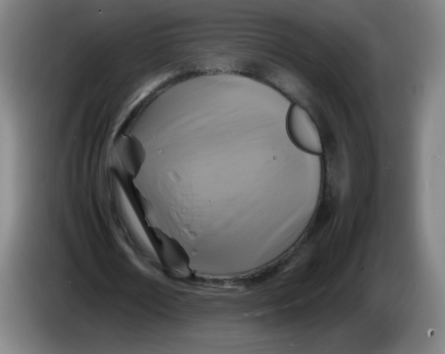 X0000086280674200704191947