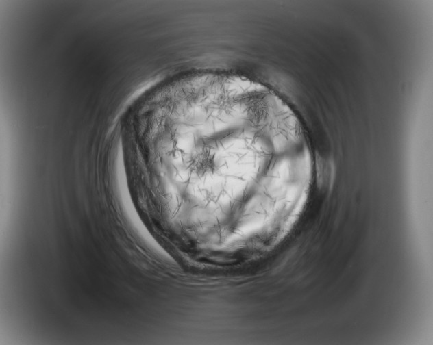 X0000086280675200704191947