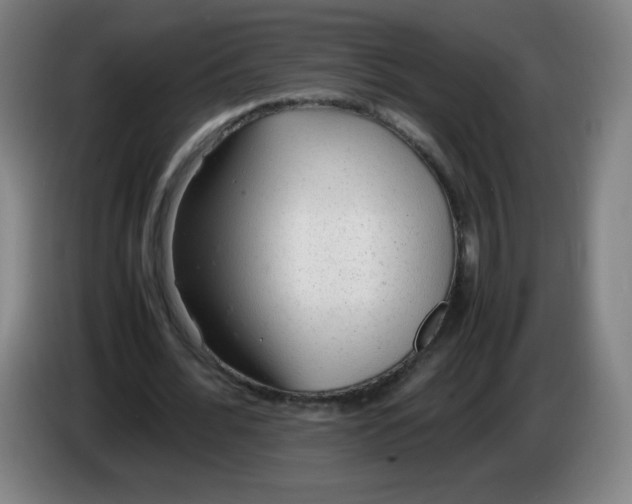 X0000086280676200704191947