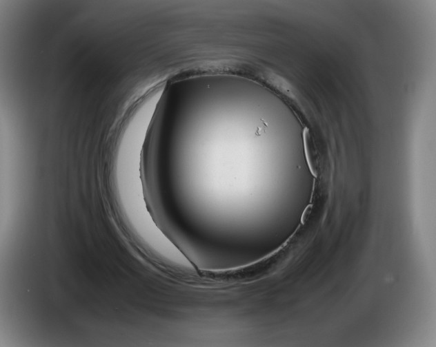 X0000086280677200704191946