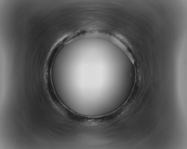 X0000086280680200704191946