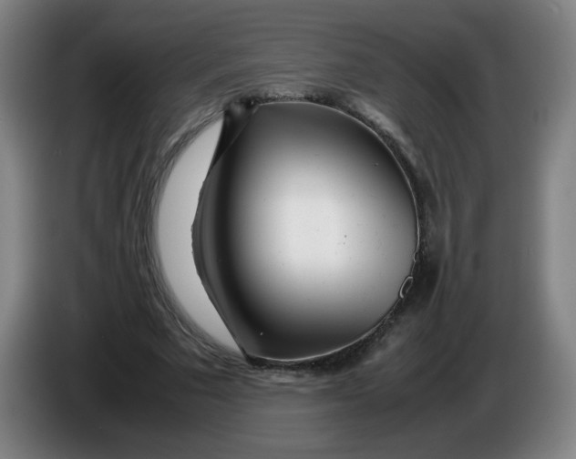 X0000086280681200704191946